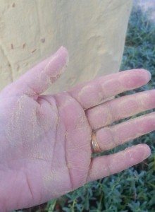 Dust on hand