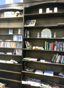 Little Library Bookshelf