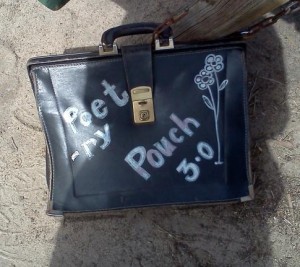 Poetry Pouch